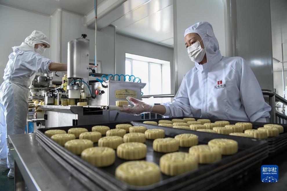 吉祥虎白菜免费彩金